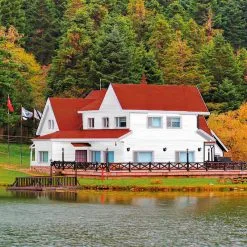 Lasure Opaque Très Haute Protection 8 Ans - 1L - Blanc - Satin- Bondex - Blanc -BONDEX Soldes lasure opaque tres haute protection 8 ans L 4299798 55295849 3